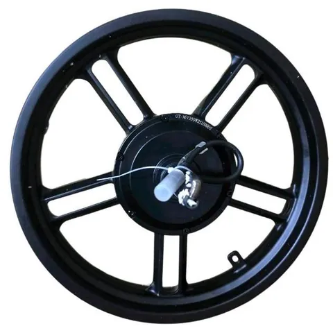 Motorwiel 16 inch – QMWheel V20 Mini (zwarte stekker, rechts)
